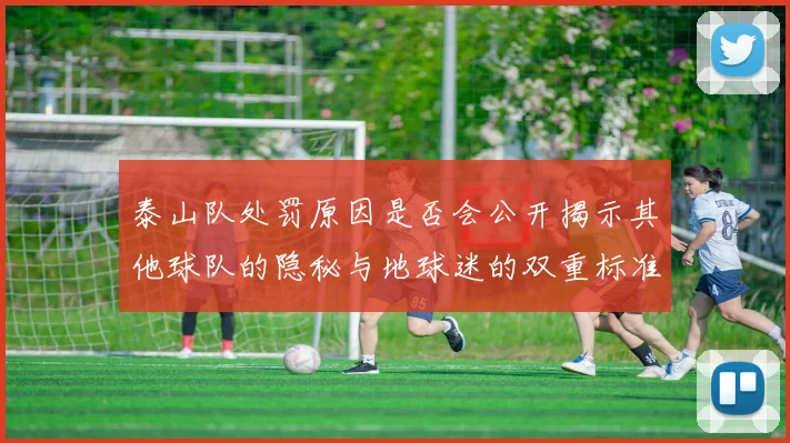 泰山队处罚原因是否会公开揭示其他球队的隐秘与地球迷的双重标准