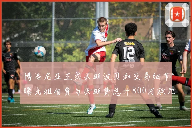 博洛尼亚正式买断波贝加交易细节曝光租借费与买断费总计800万欧元