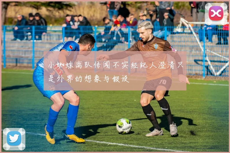 小蜘蛛离队传闻不实经纪人澄清只是外界的想象与假设