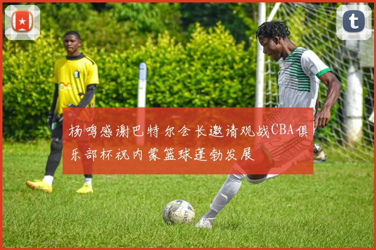 杨鸣感谢巴特尔会长邀请观战CBA俱乐部杯祝内蒙篮球蓬勃发展